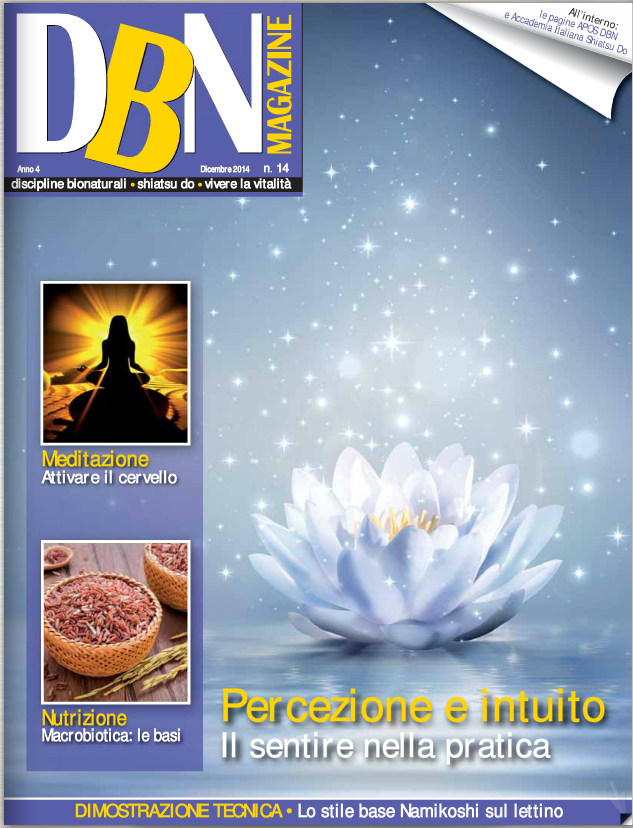 DBN n° 14